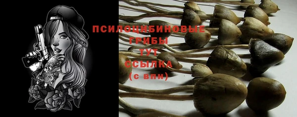 гидропоника Алзамай