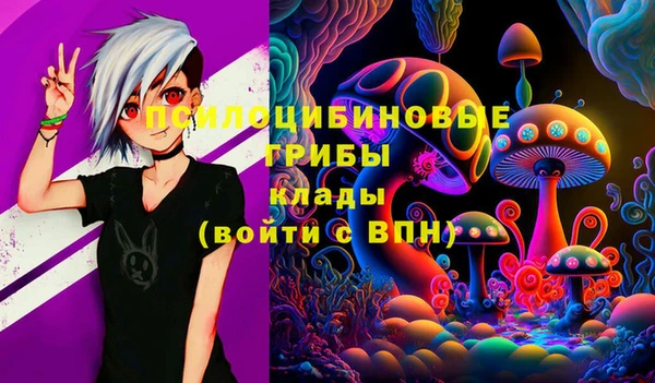 гидропоника Алзамай