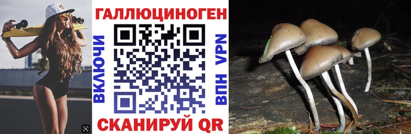 Галлюциногенные грибы мухоморы  где купить наркоту  Адыгейск 